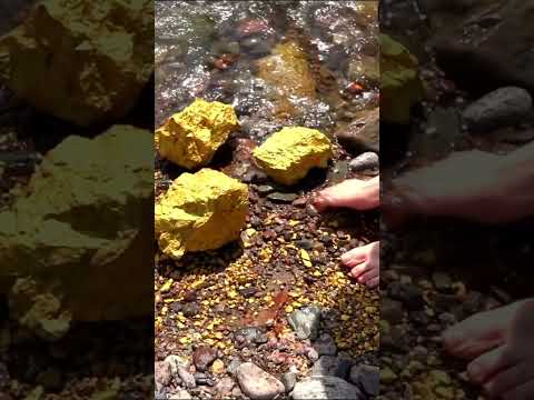 Видео: Gold Bars Under Your Feet