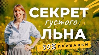 картинка: 5 КОМПОНЕНТОВ для роста ЛЬНА : схема, которая повышает урожайность вдвое!