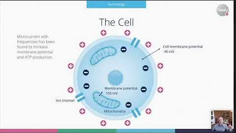 Marcus Schmieke explains the Technology and Scienc...