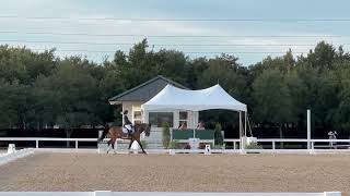 Leo showing third level test 1, Oct 2023. 67.9% and high point RPSI for the open show at regionals.