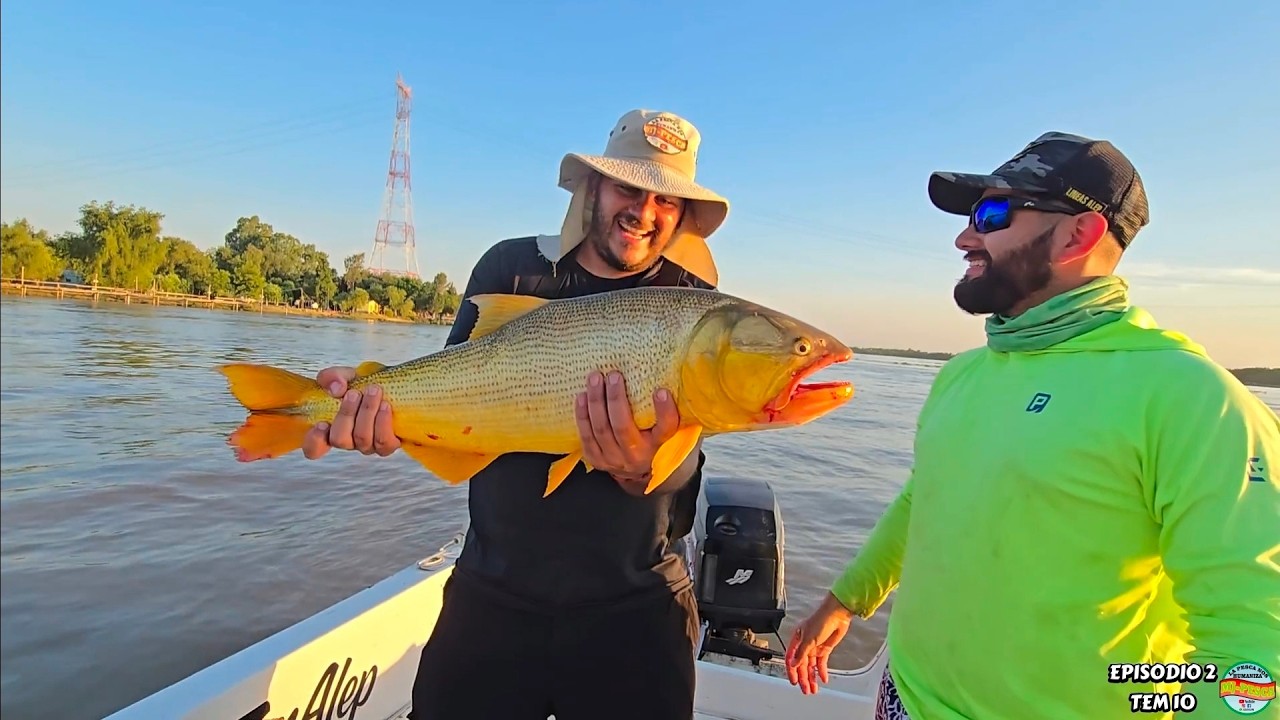 PESCA AL GOLPE CON WILSON buscando DORADOS con carnada, bajo el puente sobre el rio parana mjpesca