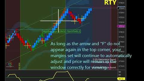 4. How to Adjust Upper and Lower Chart Margins - (F) Fixed and Arrow in NinjaTrader 8