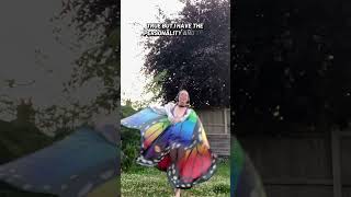 Who is she talking to 😁 #Butterfly #TwoPrinces #Wings #Fairy #Porrige #RainbowAcroCosplay