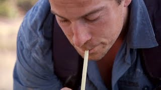 アフリカの泥水を飲む方法 | サバイバルゲーム  (ディスカバリーチャンネル)