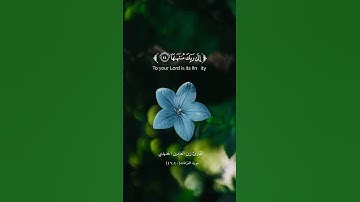 سورة النازعات| القارئ زين العابدين الحديدي