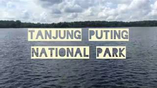 Borneo Trip - Tanjung Puting National Park