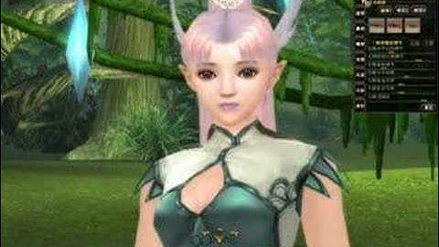 Perfect World pg  customization