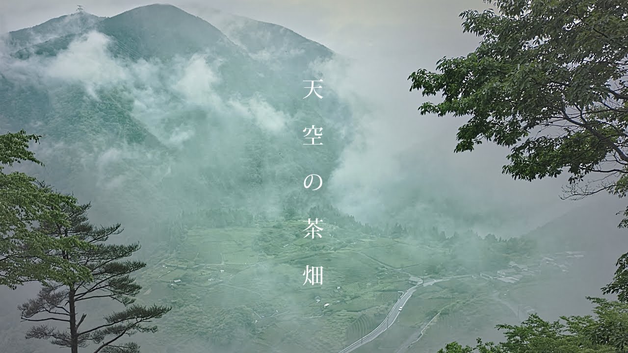 【雨のマチュピチュ】雲に隠れた天空の茶畑を歩く　Walking Around Ibigawa Town（Gifu,Japan）