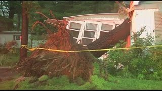 Several mobile homes damaged by trees in Westfield