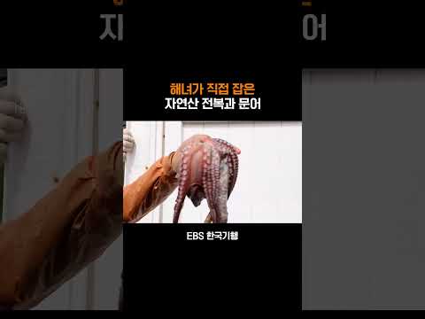 어마어마한 자연산 전복 <strong>크기</strong> #<strong>shorts</strong>
