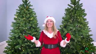 All about National Tree Lights