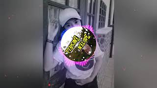 DJ despasito X alone X bad liar tik tok viral