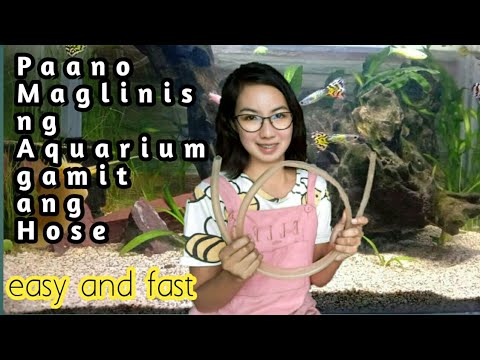 Paano maglinis ng Aquarium gamit ang hose | Days with Abby