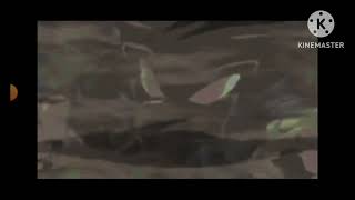 I Defeat Thepinkadorable&Sweet Girls Mom And Paperluigi99 And A Message For