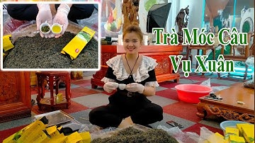 Trà( Chè) Móc Câu Tân Cương Thái Nguyên Ngon Vụ Xuân - Trà Tiên Lầu