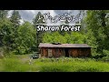 Sharan Forest Tour Plan | Naran Kaghan Trip | Travel Pakistan