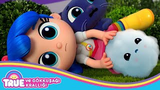 Kümülo Nerede ☁️ True ve Gökkuşağı Krallığı 🌈 TAM BÖLÜM -   Çizgi Film - Cartoon Network