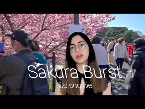 Sakura Burst - Co Shu Nie | Cover by RIERU