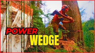 196. PowerWedge in Action | Professional West Coast Fallers for Coworkers