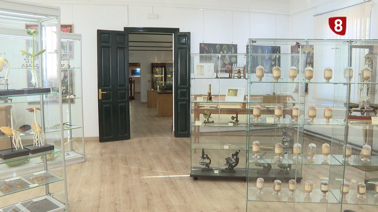 PREVIO 'Un Paseo por Palencia' MUSEO JORGE MANRIQUE