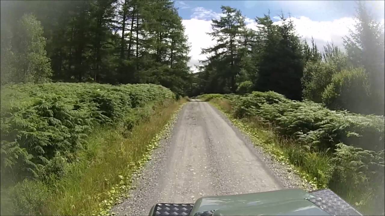 Raiders Road Forest Drive Youtube