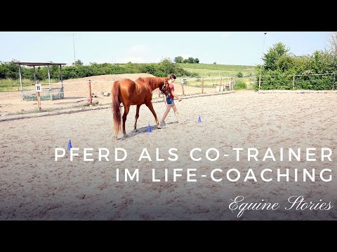 Coaching mit Pferden I Pferdegestütztes Coaching mit Rebekka Vogel #equinestories