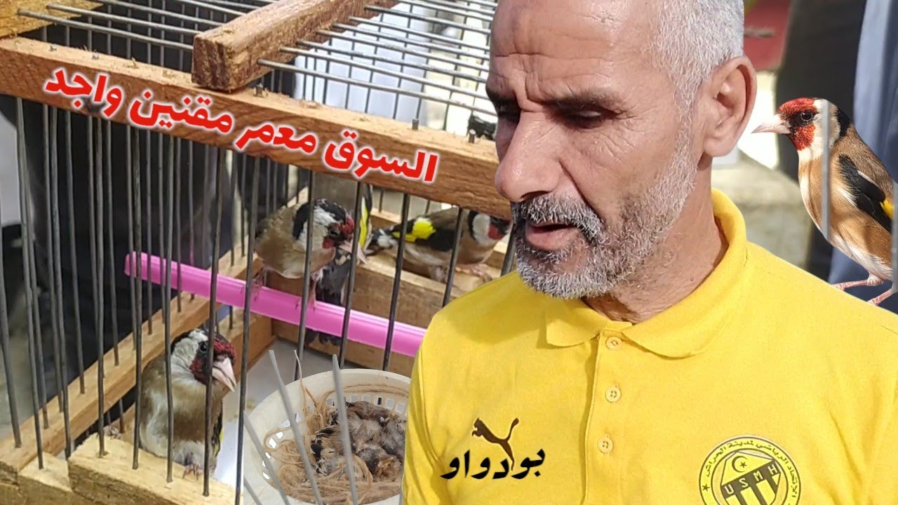 بعد صيام دام شهر نعود لكم من افطار سوق بودواو | الحسون واجد 100%