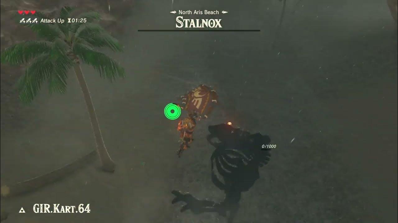 Breath of the Wild North Aris Beach Stalnox Challenge 058 YouTube