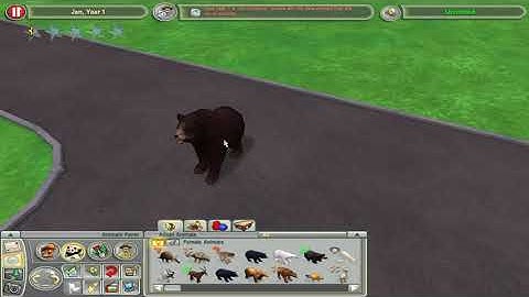 ZT2 - Nif Coding Tutorial - Fixing Collision