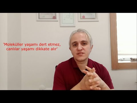 Video: Hücreler proteinleri nasıl üretir ve serbest bırakır?