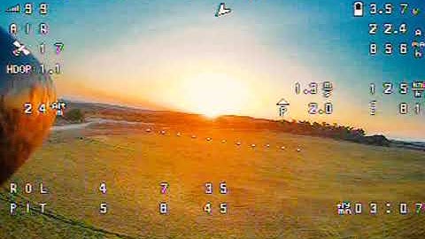 fly shark (ar wing clone) maiden fly 1.08.2020