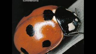 The Sundays - Summertime Resimi