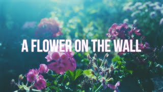 Holocity - A flower on the wall (Lyric video)