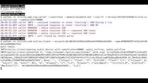 Command line client to connect voice path to Twilio service