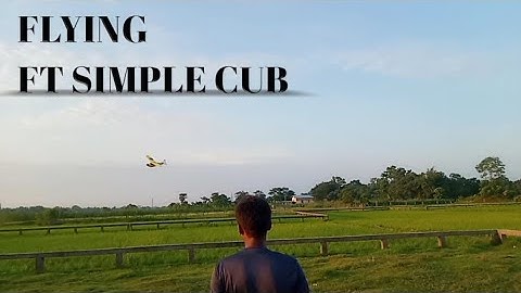 Ft Simple Cub Beautiful Fly Video || Fly In High 🛩️ ||