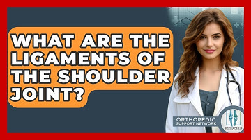 What Are The Ligaments Of The Shoulder Joint? - Orthopedic Support Network
