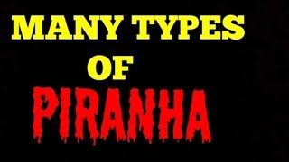 There Are Many Types Of Piranha
