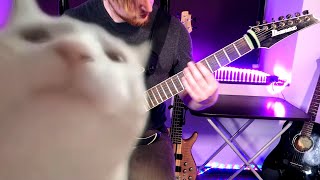 Cat Vibing To Metal Music (Official Video) Cat Vibing To Music | Cat Vibing Meme