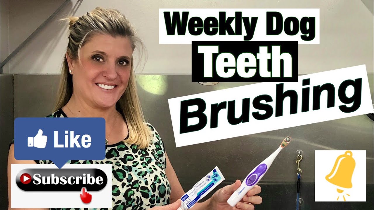 Get Your Tooth Brush to Work!