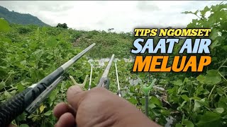TIPS || MOSS BAIT WHEN THE RESERVOIR OVERFLOWS || SELOREJO NGANTANG RESERVOIR