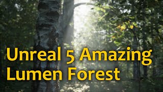 Unreal 5 - Lumen Forest Test