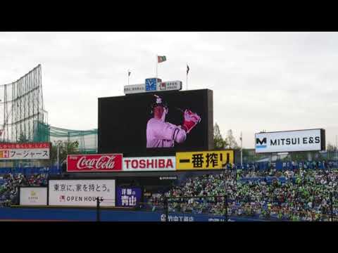 2018年 ヤクルトスワローズ チームスローガン RISING