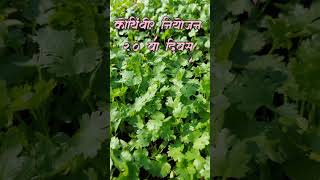 कथबर नयजन Rain Pipe Water Management