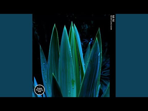 Mi Ni - Never Love Again - Extended Mix