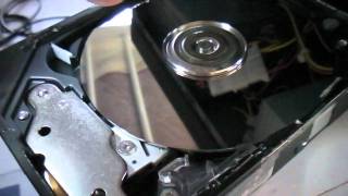 Maxtor 2F020J0 Hard Disk Drive Exposed