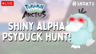 🔴 I FOUND SHINY ALPHA PSYDUCK & GASTLY!! Chilling w/ @RazzieLive  | Pokémon Legends Arceus #shorts