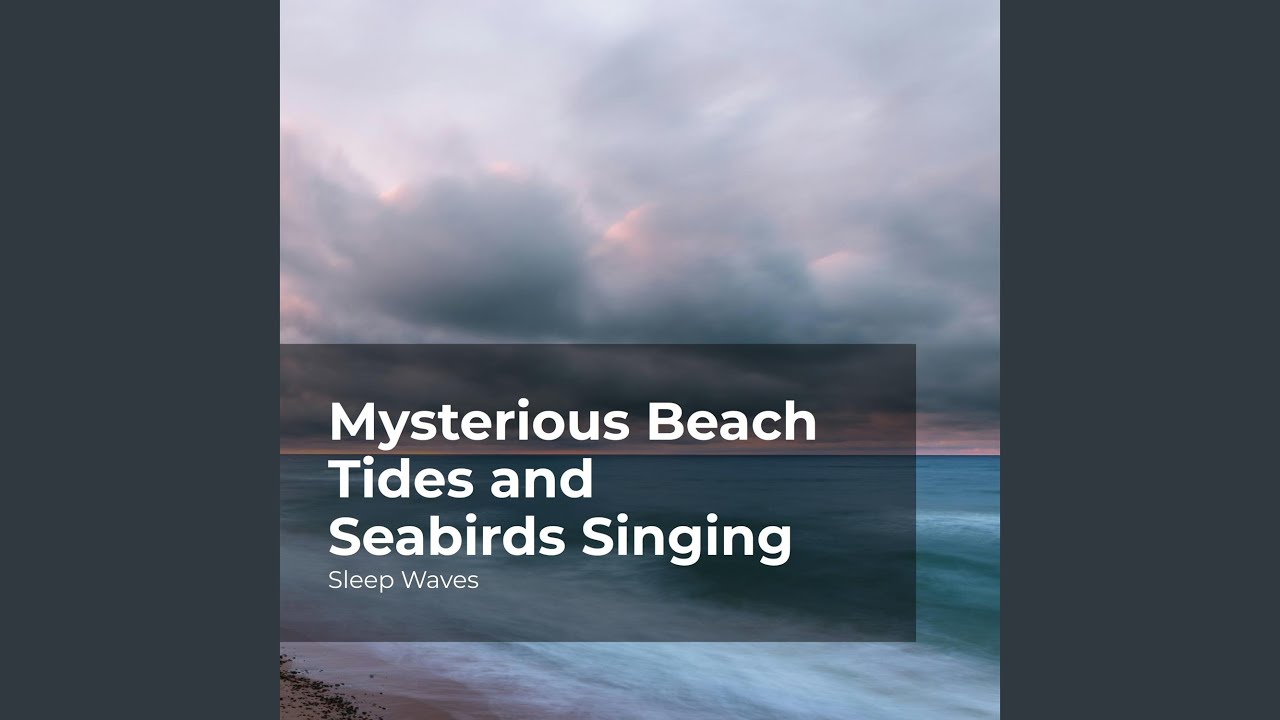 Beach Rising Tides Rising Ocean Tides - YouTube