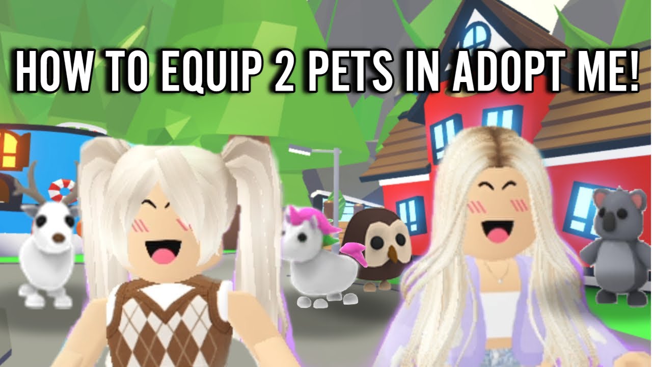 THIS HACK LETS YOU EQUIP 2 PETS IN ADOPT ME! - YouTube