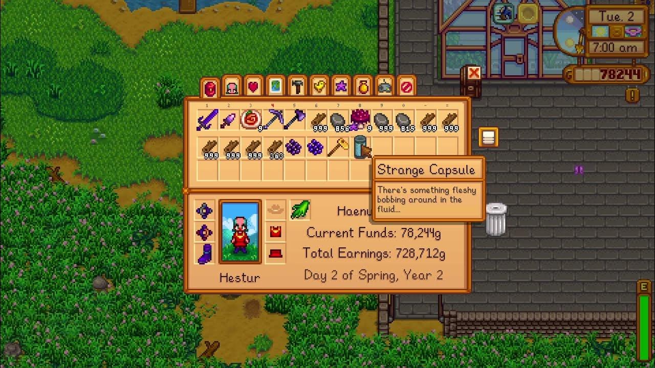 a-strange-sound-was-heard-in-the-night-meaning-stardew-valley-1-6