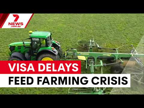 Visa delays threaten Victorian farming season | 7NEWS